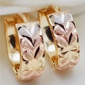 Elegant Gold and Silver Hoop Earrings